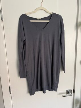Aritzia Long Sleeve Shirt Dress